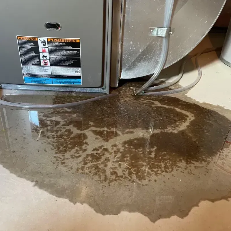 Appliance Leak Cleanup in El Paso, TX